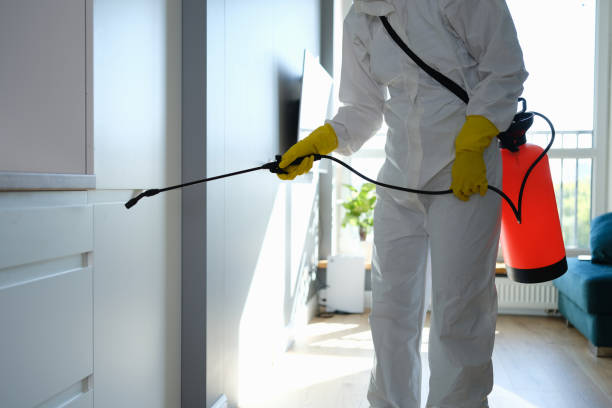 Professional Mold Remediation in Henderson, KY